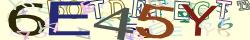 Retype the CAPTCHA code from the image